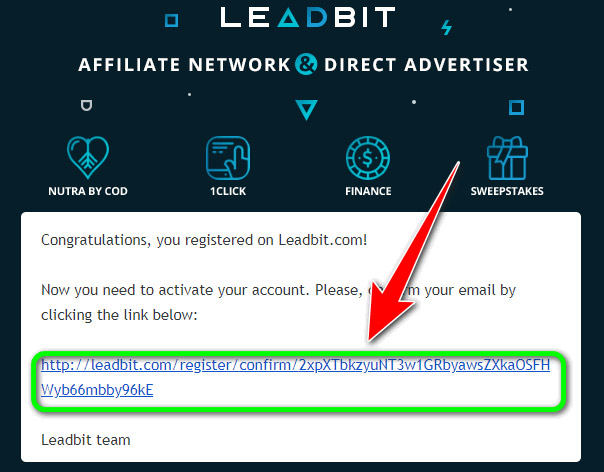 xác nhận email leadbit