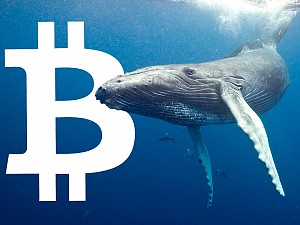 476 triệu USDT đã được chuyển lên sàn chỉ trong một giờ để “bắt đáy” Bitcoin
