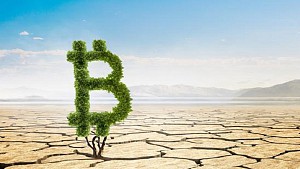 Bitcoin có thực sự gây hại cho môi trường không?