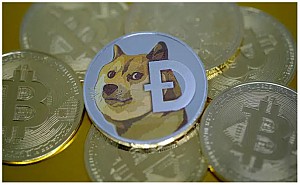 Được nhiều người liên tục shill, giá DOGE bay gần 0,30 USD