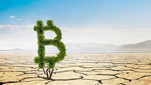 Bitcoin có thực sự gây hại cho môi trường không?