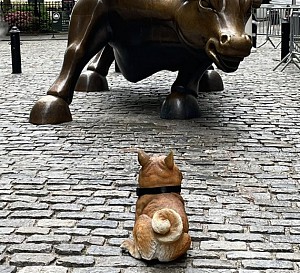 Tượng Dogecoin được đặt đối diện với chú bò đực của Phố Wall