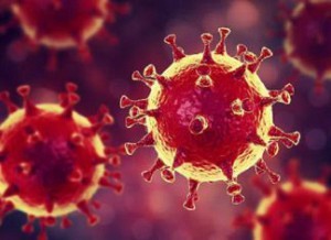Coronavirus là gì? Cách phòng tránh dịch nCoV [2020]