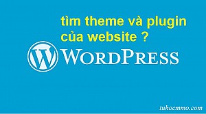 Hướng dẫn tìm Theme, Plugin của website WordPress bất kỳ