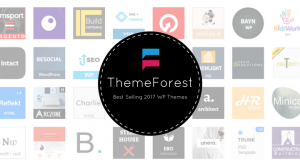 [Nhanh tay] Sở hữu theme wordpress từ Themeforest chỉ với 300k / 6 themes