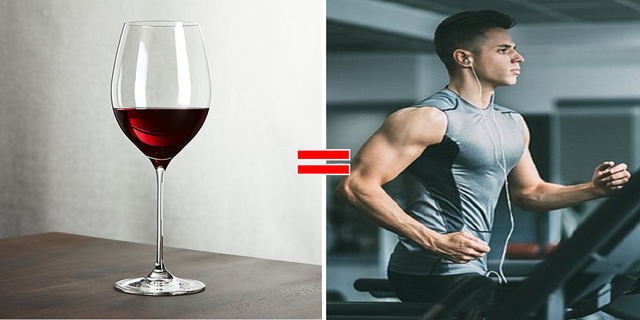 Lợi ích đặc biệt của rượu vang đỏ: Uống 1 ly tương đương 1 giờ tập gym - 2